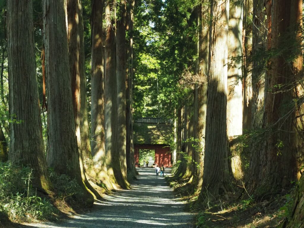 戸隠神社