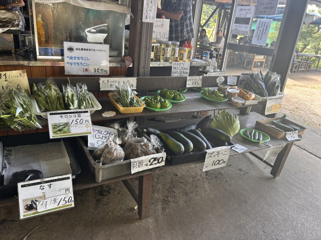 新鮮な青物野菜たち